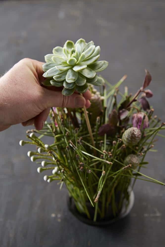 Frische Florale Hängende Häkel-sukkulente, Neuer Stil Autoanhänger