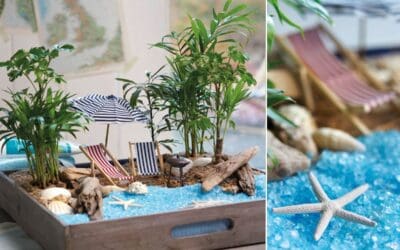 Urlaubsparadies für zuhause Beitragsbild