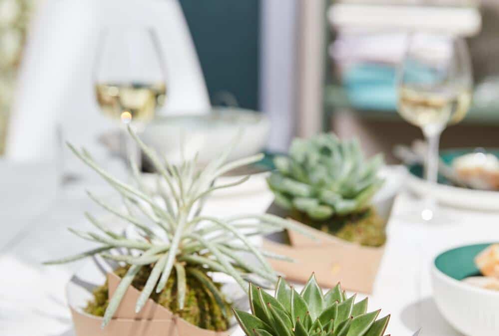 DIY Deko Idee: Kokedama mal anders