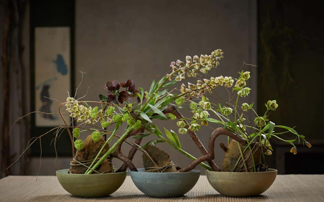 Ikebana Light