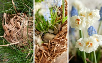 natur-handwerk-blooms-meisterschueler-anna-guenther-collage-pflanzung