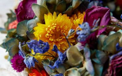 detail-bunte-trockenblumen