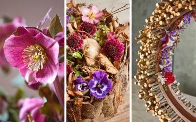 natur-handwerk-blooms-meisterschueler-amelie-scholz-collage