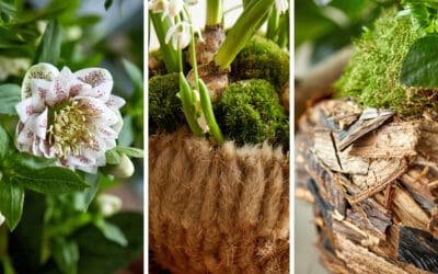 natur-handwerk-blooms-meisterschueler-anna-kiefer-collage-pflanzung