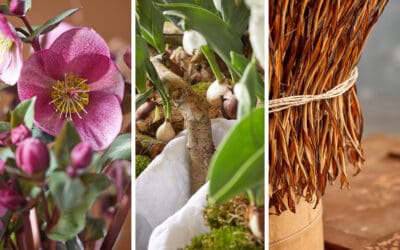 natur-handwerk-blooms-meisterschueler-hendrik-rethmeyer-collage-part2