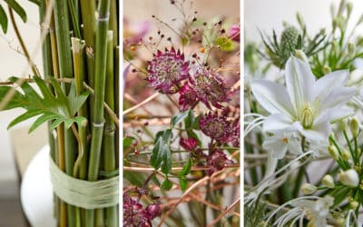 natur-handwerk-blooms-meisterschueler-svetlana-silbernagel-collage