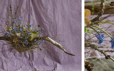 bloom’s-thementage-nachhaltigkeit-blumiges-nest-collage
