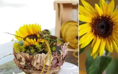 Sonnenblumenschale mit Maisblätter-Verzierung Beitragsbild