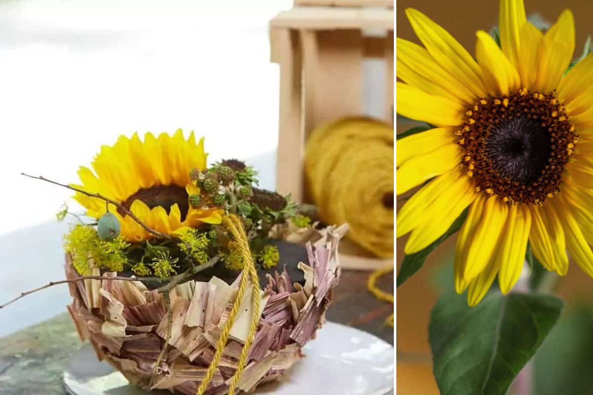 Sonnenblumenschale mit Maisblätter-Verzierung Sonnenblumenschale mit Maisblätter-Verzierung