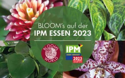 BLOOM's auf der IPM 2023