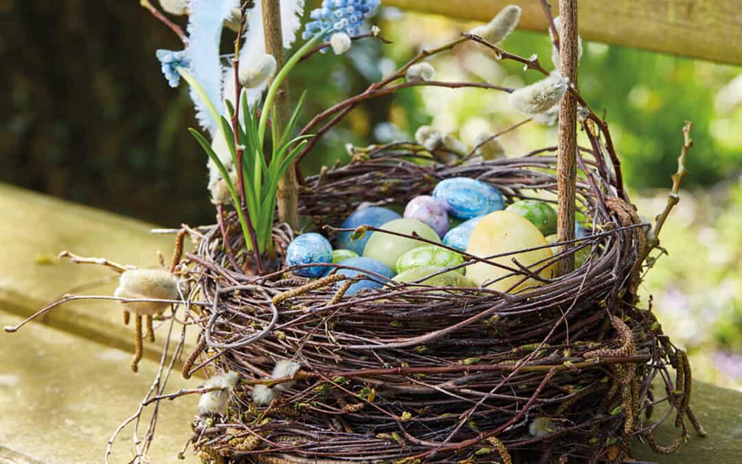 DIY-Osterdeko: Birkenzweig-Nest für die Eiersuche