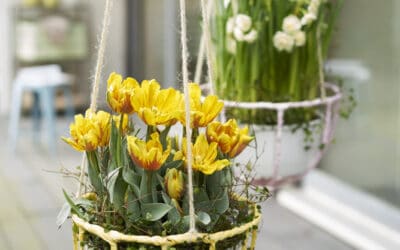 bloom’s-selbstgemachte-haengeampel-mit- tulpen