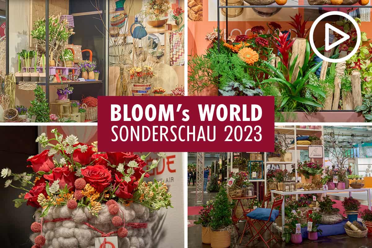 Video: BLOOM’s Sonderschau 2023 auf der IPM Essen