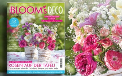 BLOOMsDECO3-23_Teaser_1200x800px