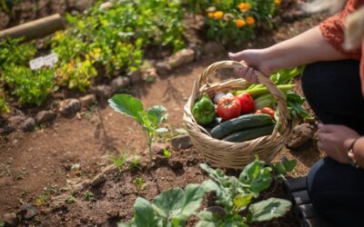 Trend Naschbalkon - 5 Tipps für die perfekte Ernte auch ohne Garten