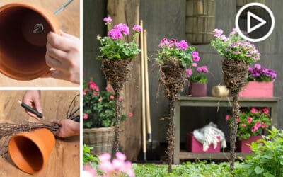 video-diy-gartenstecker-mit-geranien-blooms-deco