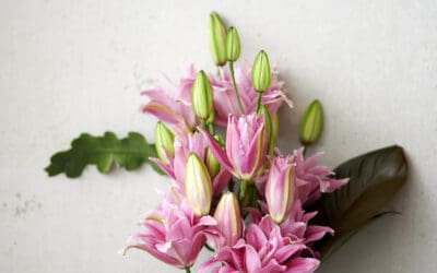 Rosenlilie - Die Blütenschönheit zweier Blumen