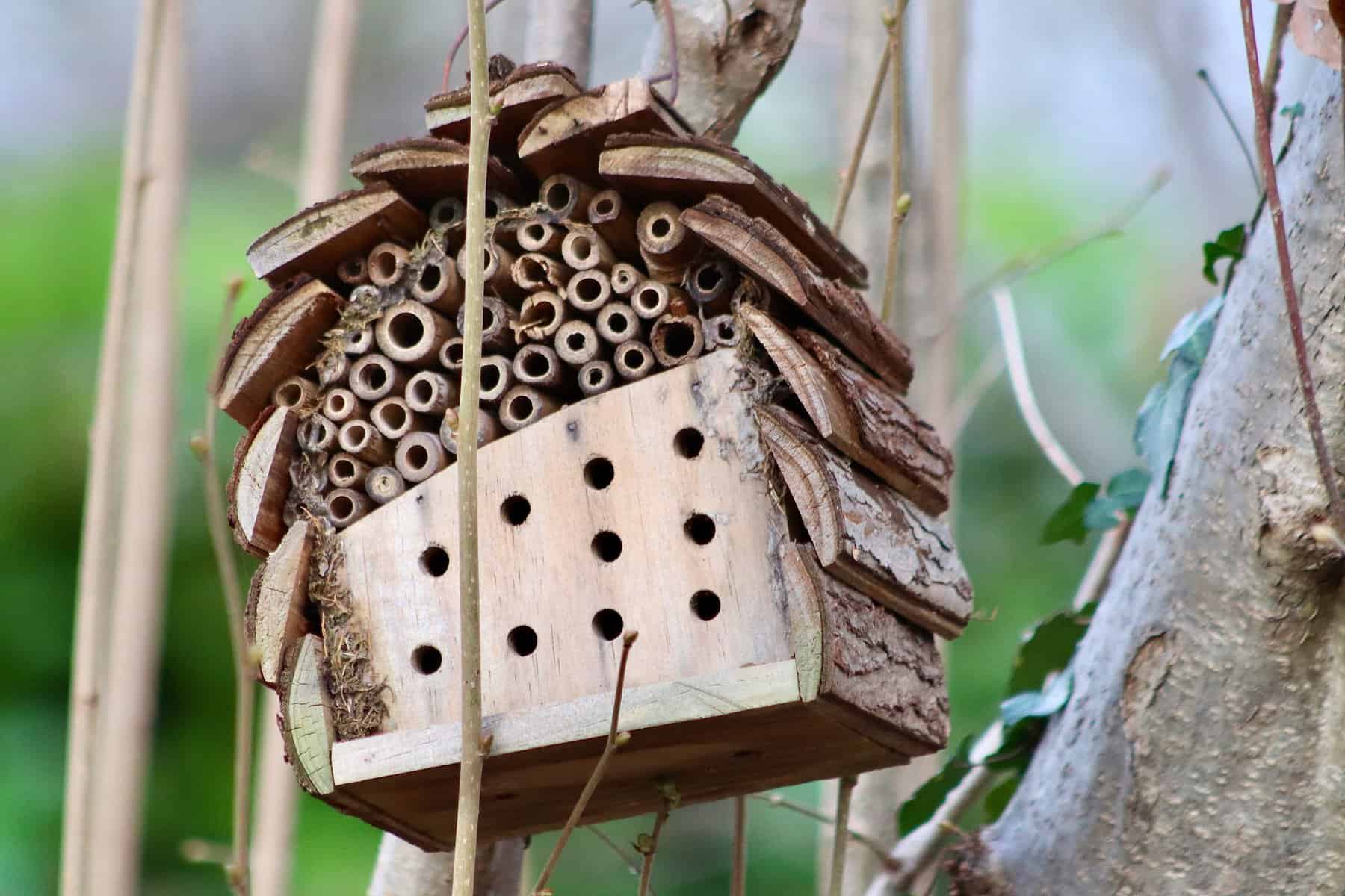 Summ, Summ, Summ…Das DIY-Bienenhotel