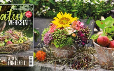 NaturwerkstattMag3-23_ohneText_1100x500px