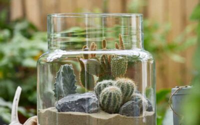 Pflanzenwelten im Glas