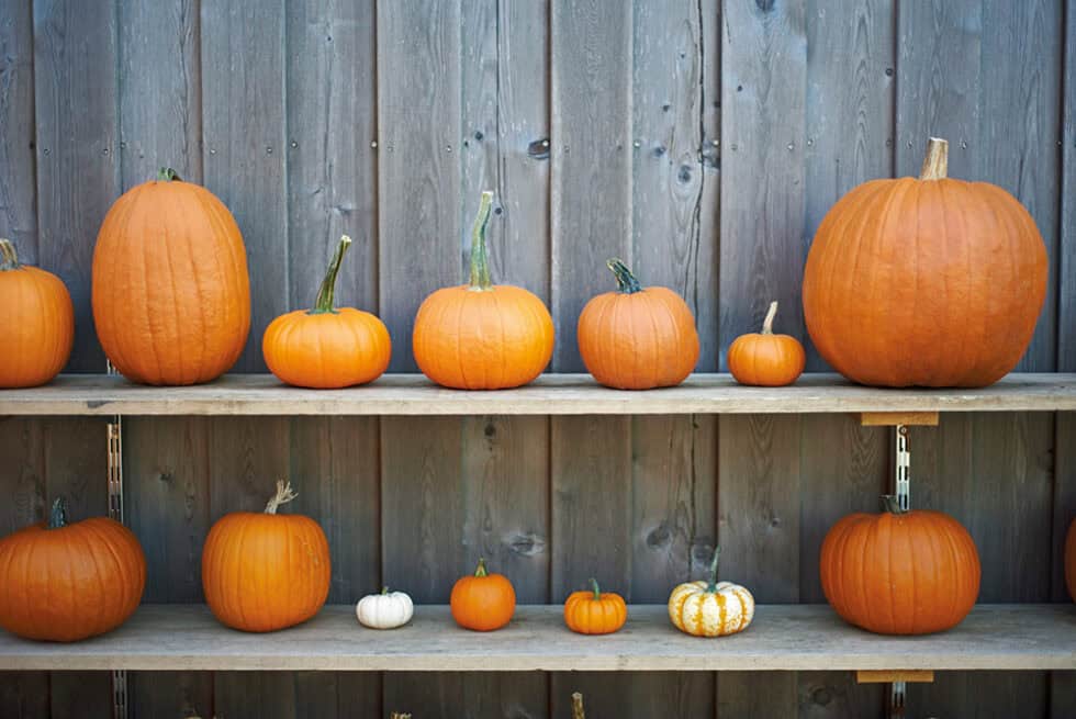 Geburtstags-Banner 'Our Little Pumpkin Is One' – Goldener Glitzer, 1,2 M, Für 1. Geburtstag & Herbstparty