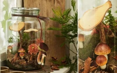 Dekorative Pilz-Deko im Glas Beitragsbild3