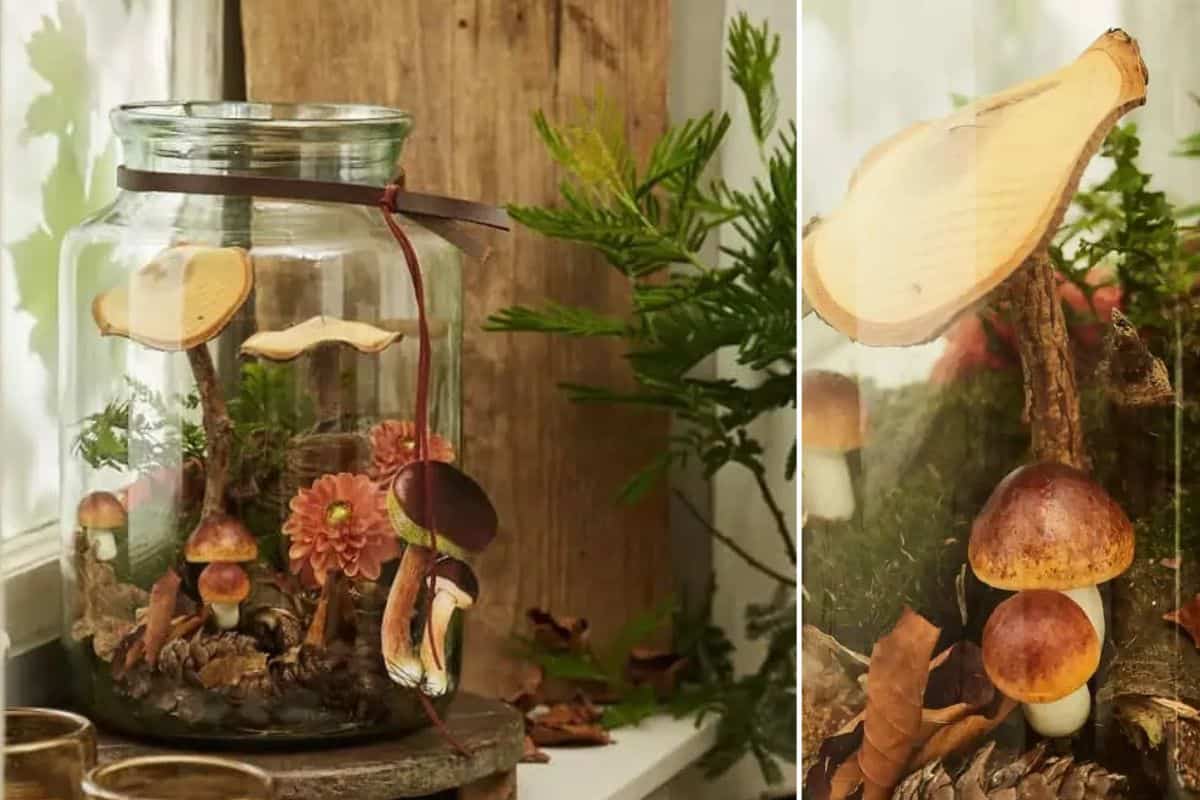 Dekorative Pilz-Deko im Glas Dekorative Pilz-Deko im Glas