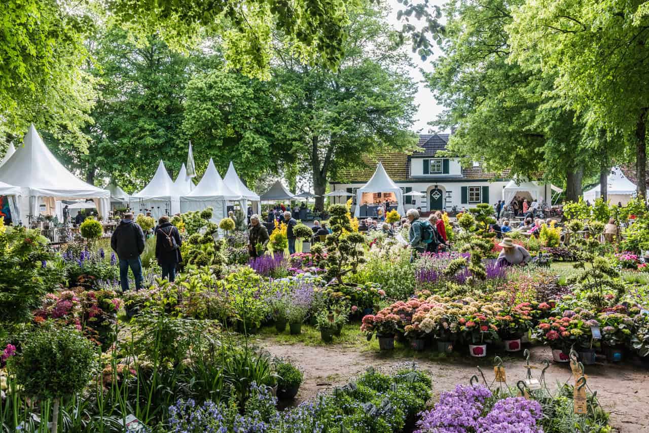 Die schönsten Garten-Veranstaltungen 2025