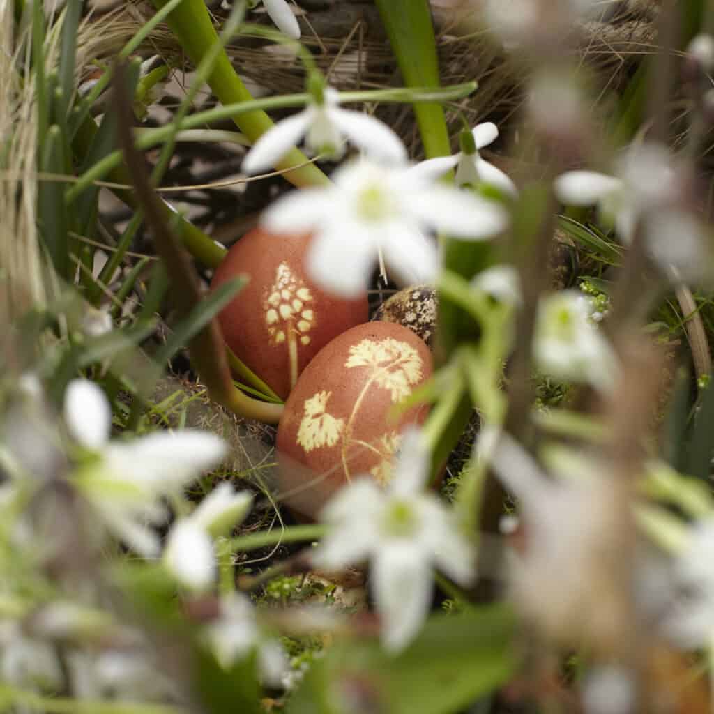 Gefärbte Eier mit Blütenmuster in Osternest.