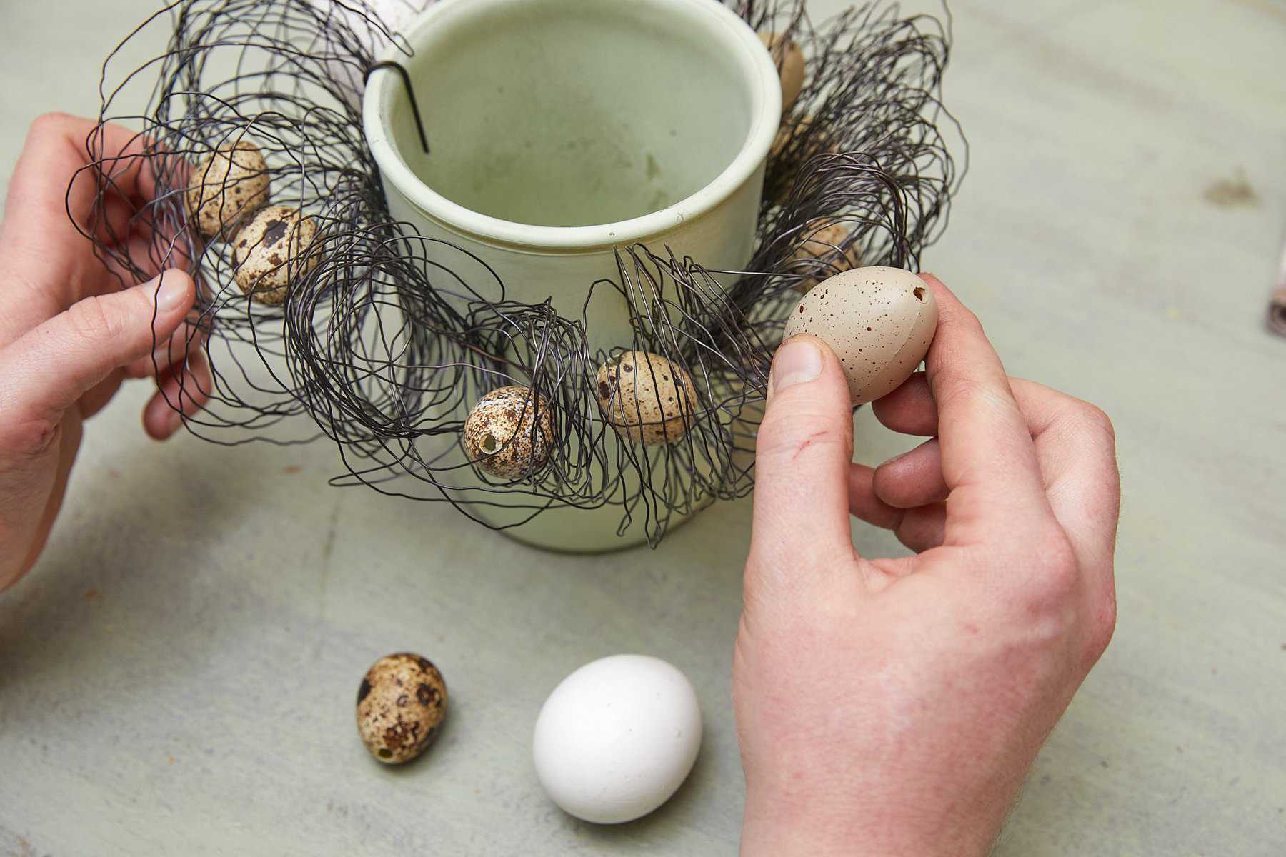 Eier werden am Gefäß in ein Drahtgerüst geklemmt