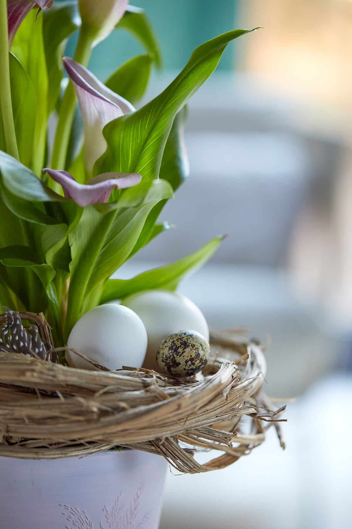 Close-up: Ostergesteck mit Eiern
