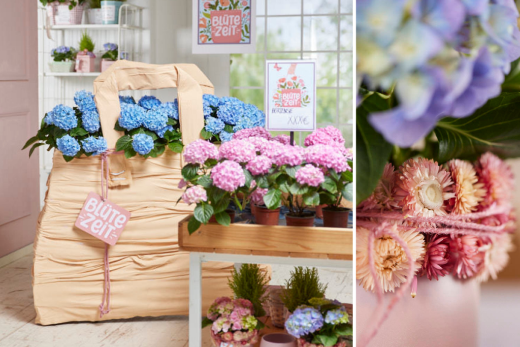 Collage: XXL-Einkaufstasche gefüllt mit blauen Hortensien - Fachgeschäftliche Präsentation von verschiedenen Hortensien-Farben