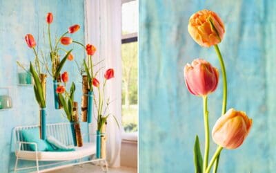 Schwebende Tulpen im Drahtgerüst Beitragsbild