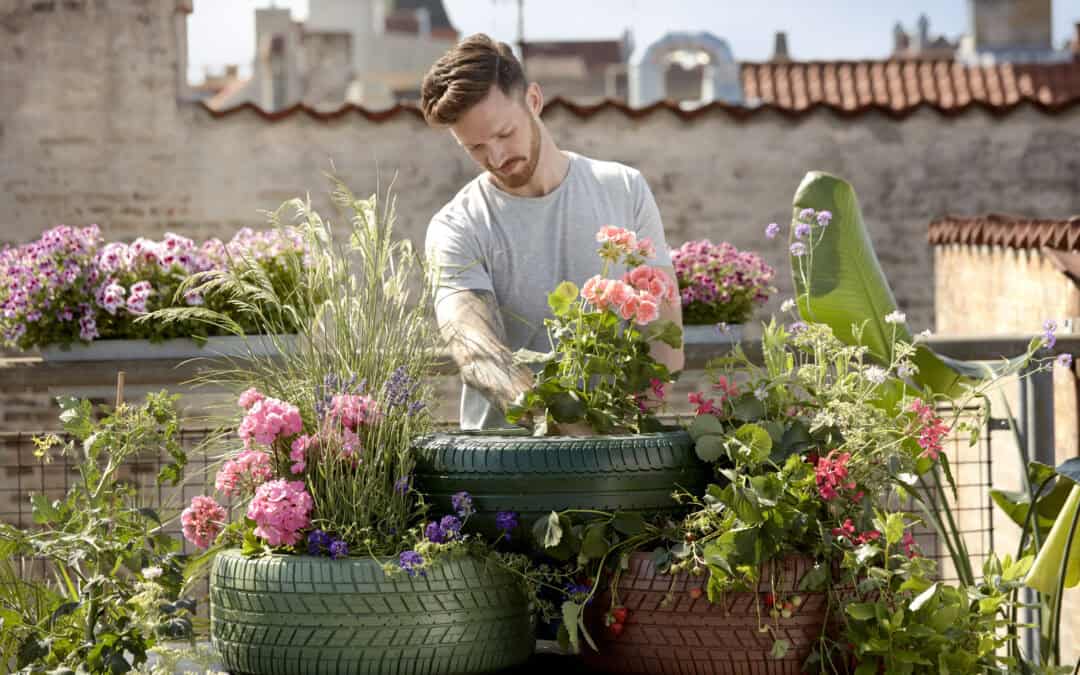 Geranien für den Stadtbalkon – So begeistert ihr die junge Zielgruppe