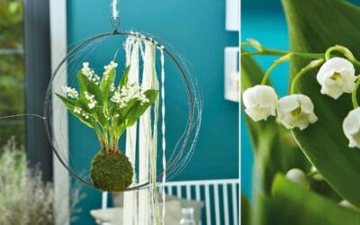 Maiglöcken im Kokedama-Style Beitragsbild