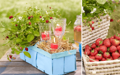 Sommerdeko mit Erdbeeren