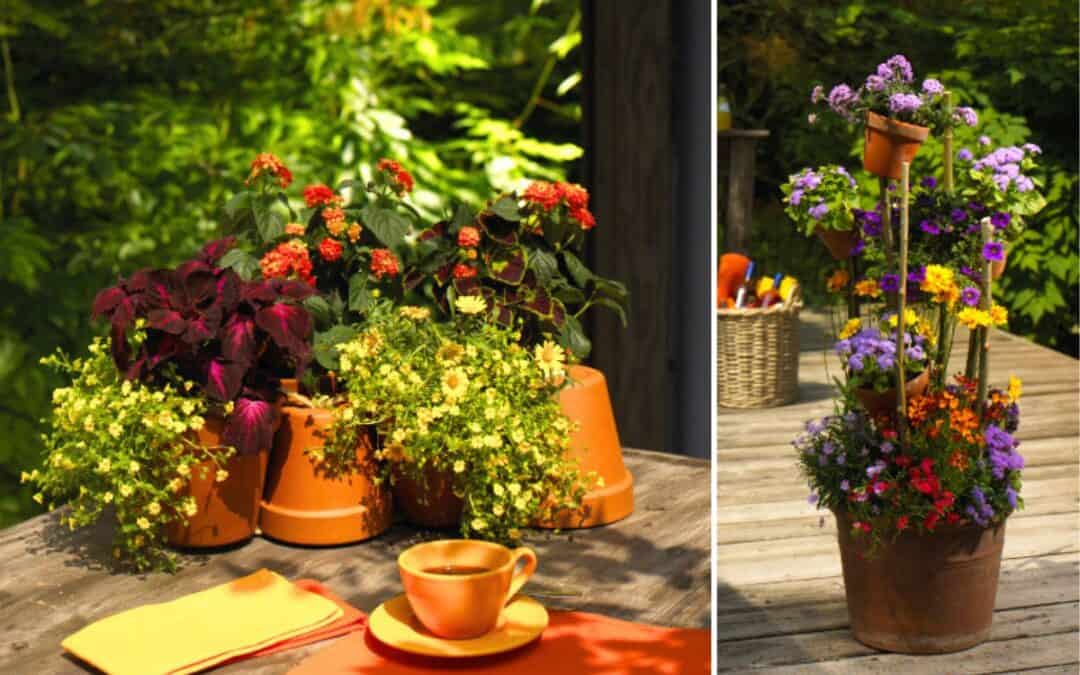 Sommerliche Gartenbepflanzungen in Tontöpfen