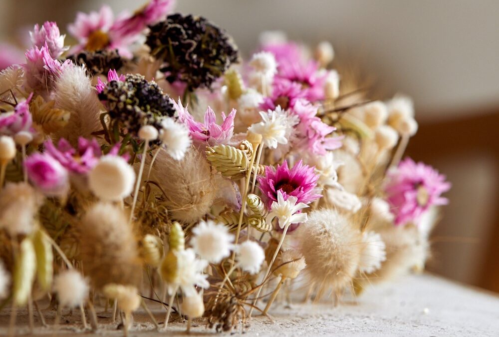 Alles rund um Trockenblumen – Drei einfache Methoden zum Blumen trocknen