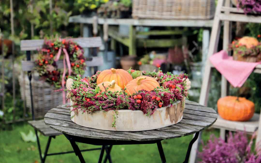 Farbenfroher Herbst mit Kürbiskreationen