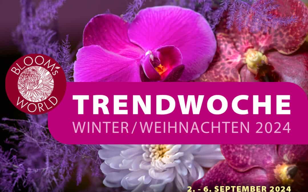 BLOOM’s Trendwoche Winter/Weihnachten 2024 – Es geht wieder los!