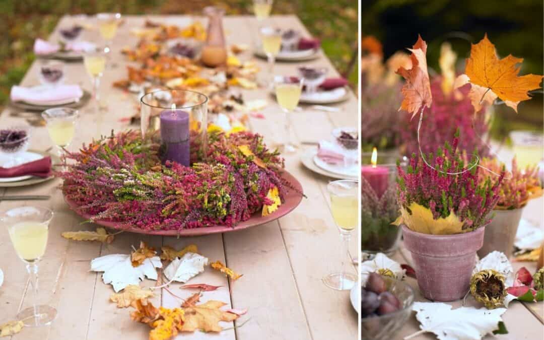 Heide-DIY für den Herbst