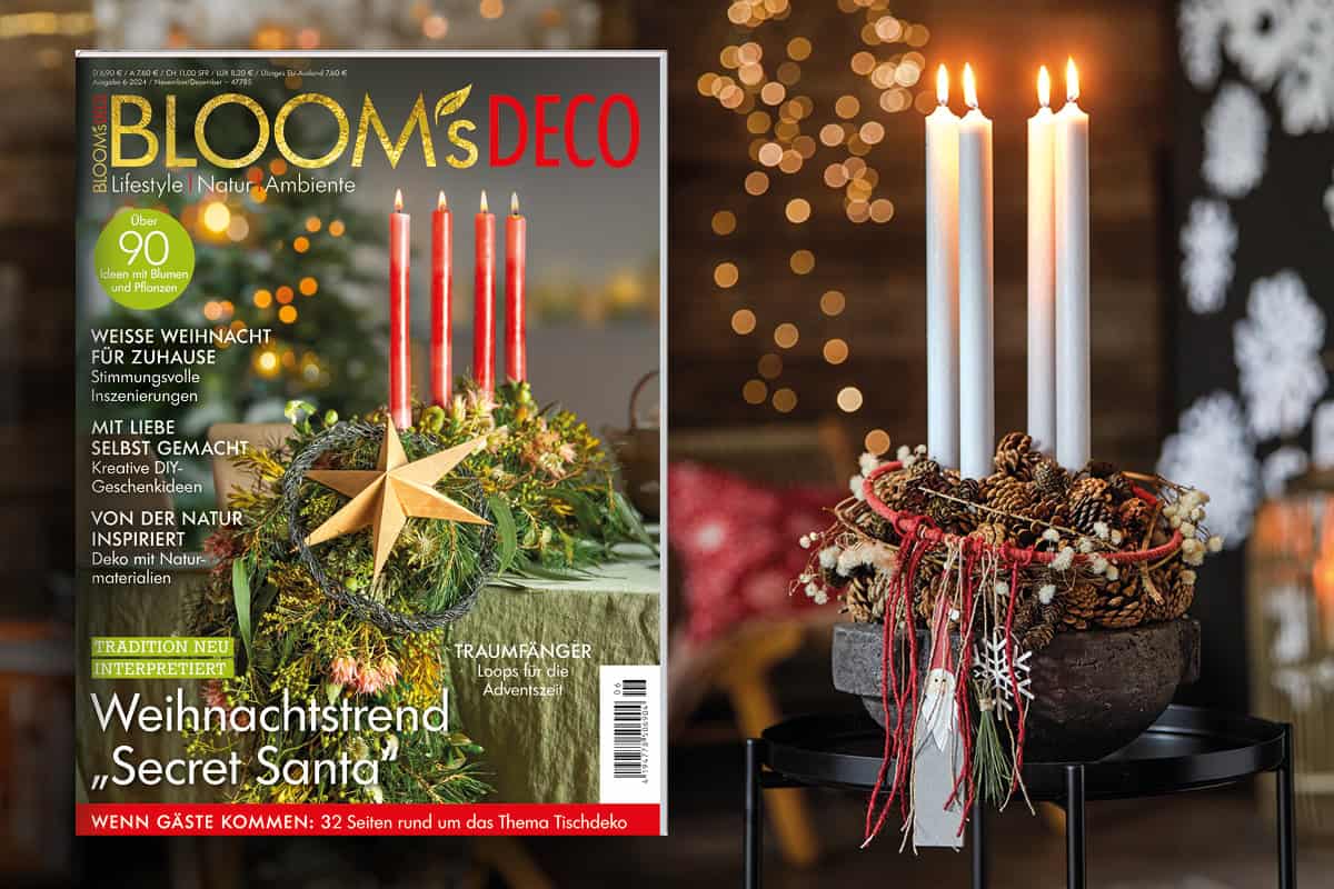 Vorfreude auf Weihnachten – mit der neuen BLOOM’s DECO-Ausgabe