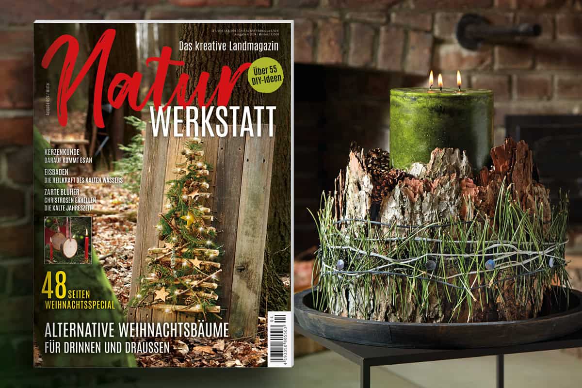 Natürliche Winterdeko: Die neue NaturWERKSTATT-Ausgabe ist da!