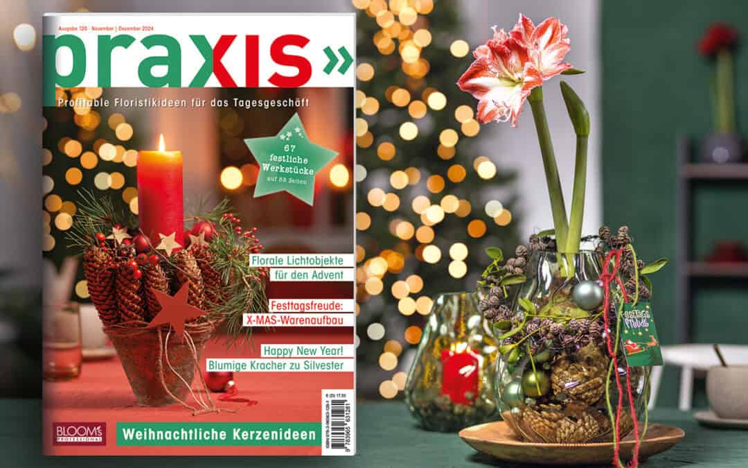 Es wird Weihnachten – Mit der neuen PRAXIS-Ausgabe!