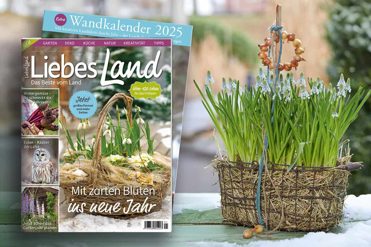 Die neue Ausgabe „Liebes Land“: Mit zarten Blüten ins Jahr 2025 + Landkalender