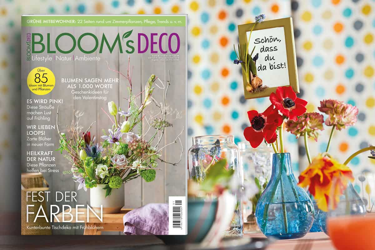 Farbenfroh ins neue Jahr – Mit der neuen „BLOOM’s DECO“-Ausgabe!