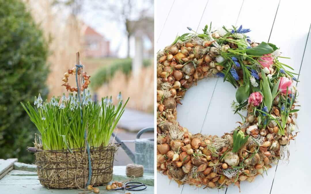 DIY: Kreative Ideen mit Blumenzwiebeln