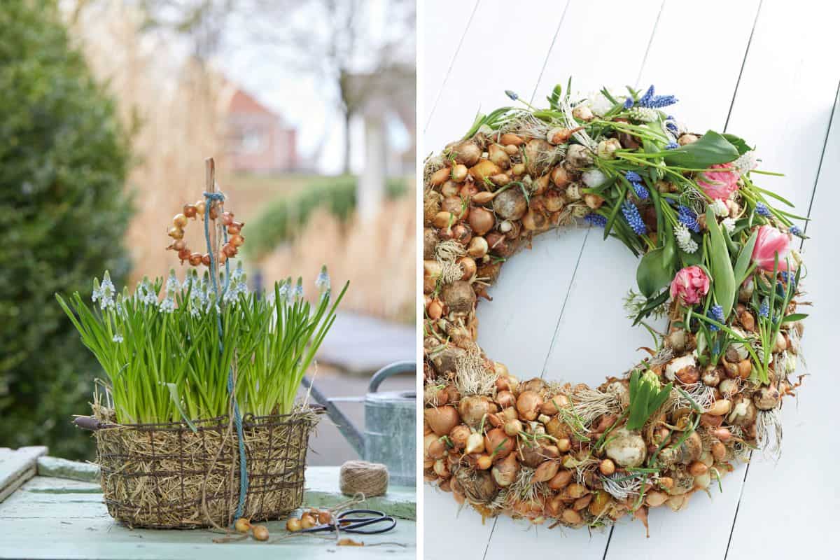 DIY: Kreative Ideen mit Blumenzwiebeln