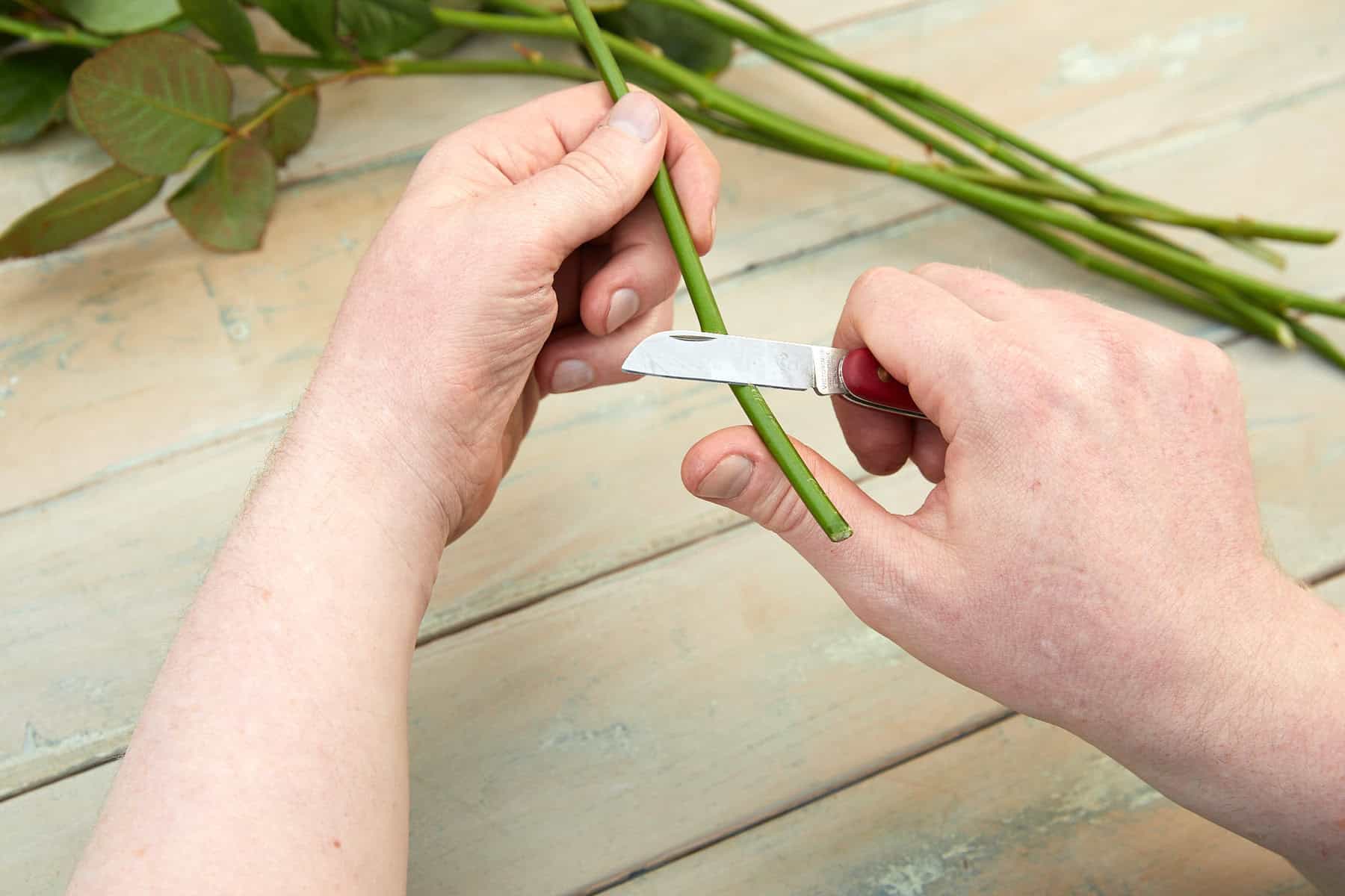 Blumenstiel mit Messer schräg anschneiden