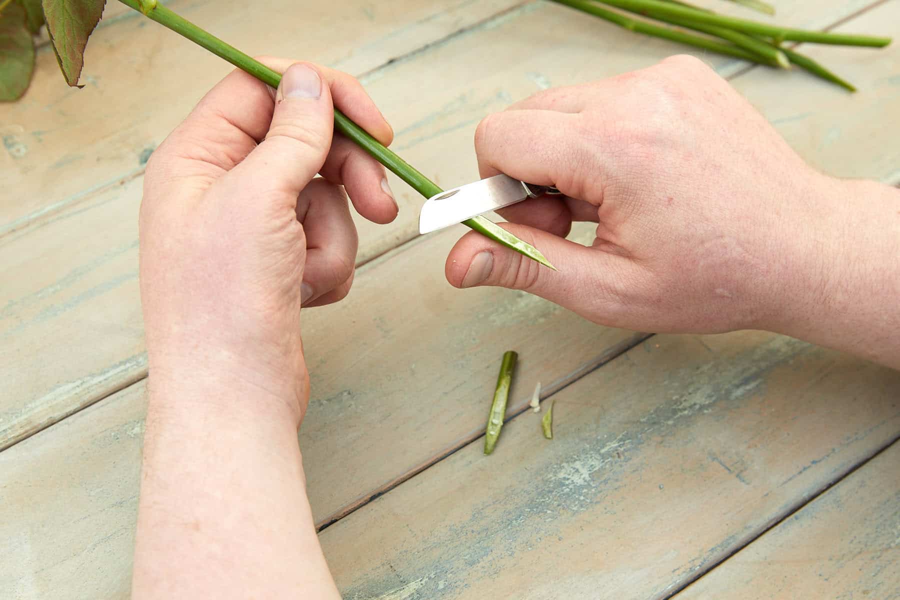 Blumenstiel mit Messer schräg anschneiden